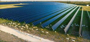 First Solar簽新客戶！獲1GW組件大單